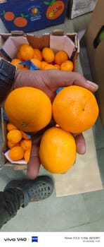 Orange Mandrin South Africa 10 kg 3 Size Freshworld