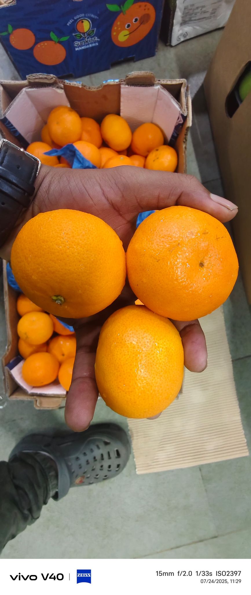 Orange Mandrin South Africa 10 kg 3 Size Freshworld
