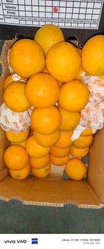 Orange Valencia  15 Kg South Africa Southern star 72 C