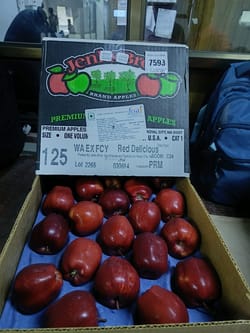 Apple RD Washington 18 Kg 125 Count Jenk Bros