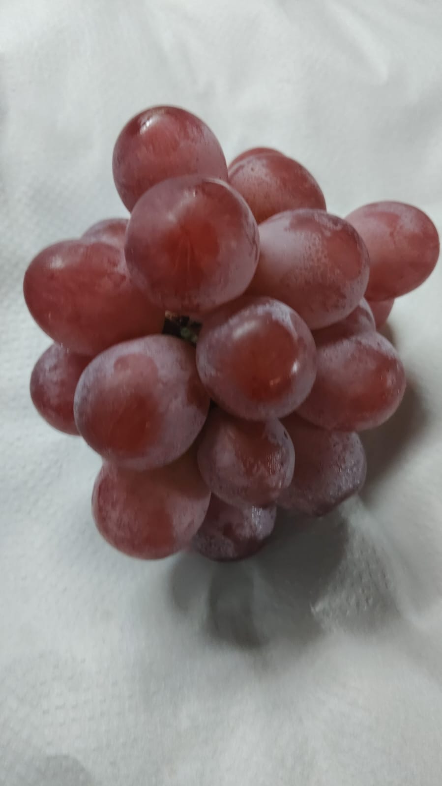 Grapes Red Globe China 6.5 KG Frutanza