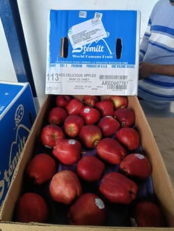 Apple RD USA 18 Kg 125 Count Stemilt