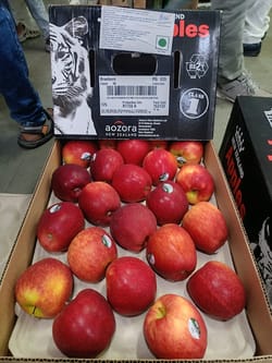 Apple Braeburn New Zealand 18 Kg 90 Count Tiger Apple