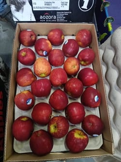 Apple Braeburn New Zealand 18 Kg 100 Count Tiger Apple