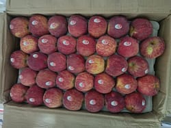 Apple Indian Royal 150 Count 24-25 Kg
