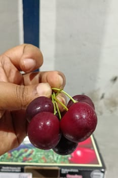 Cherry USA  5 KG  9.5 R  STEMILT