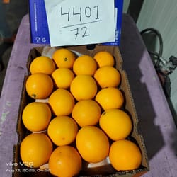 Orange Valencia  15 Kg 72 Count South Africa Jabulani