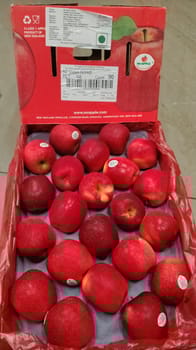 Apple Queen New Zealand 18 KG 90 Count Mr Apple