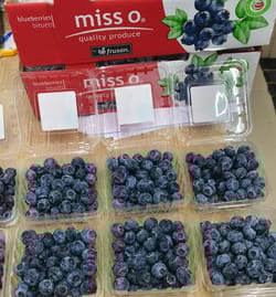 Blueberry Chile Pack of 125gm punnet 12 punnet Box Miss O Blueberry Chile Pack of 125gm punnet 12 punnet Box Miss O
