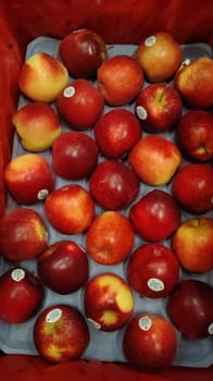 Apple Queen New Zealand 18 KG 110 Count Mr Apple
