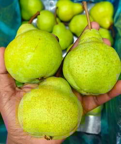 Packum pear 12.5 Kg 70 Cape Crisp