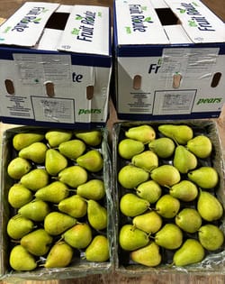 Pear Green Beauty 12.5 KG 80C FruitRoute