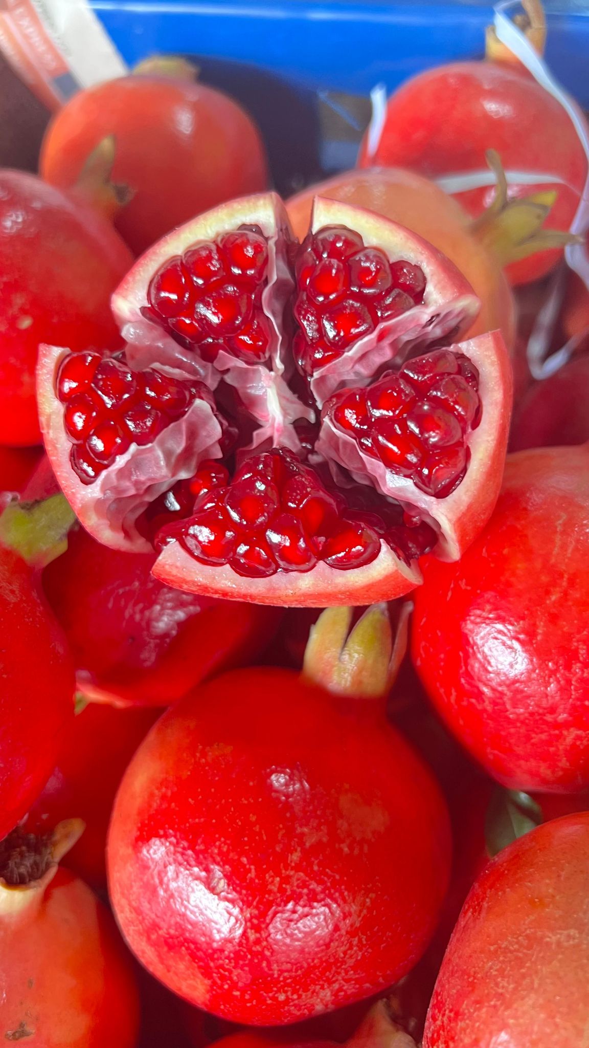 महाराष्ट्र अनार 10 किलोग्राम, प्रति किलोग्राम 3 नग, प्रत्येक फल 320 ग्राम से अधिक