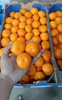 Orange Mandarin South Africa 10 Kg  Size 3 Jabulani