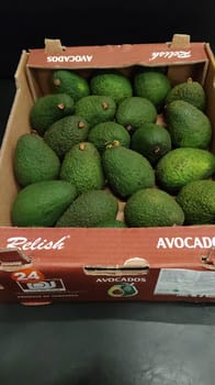 Avacado Tanzania 14 Count 4 KG Avacado Relish Avacado Tanzania 14 Count 4 KG Avacado Relish