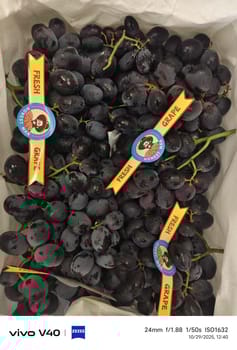 Black Grapes China 6 Kg Honest Man