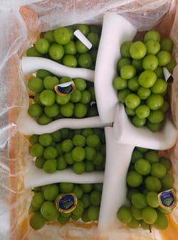 Grapes Muscat China Shine Loose 5 kg (Jumbo Size)