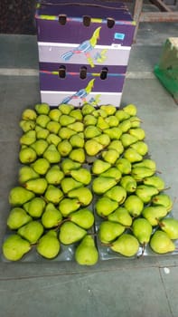 Packum pear 12.5 Kg 80 Blue Bird