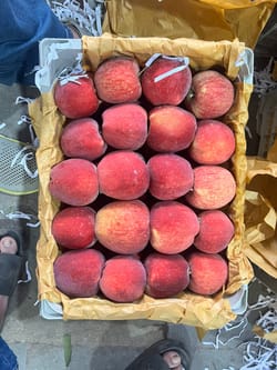 Apple Afgan RD 10kg Apple Afgan RD 10kg