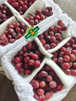 Grapes Red Globe China 6.5 KG