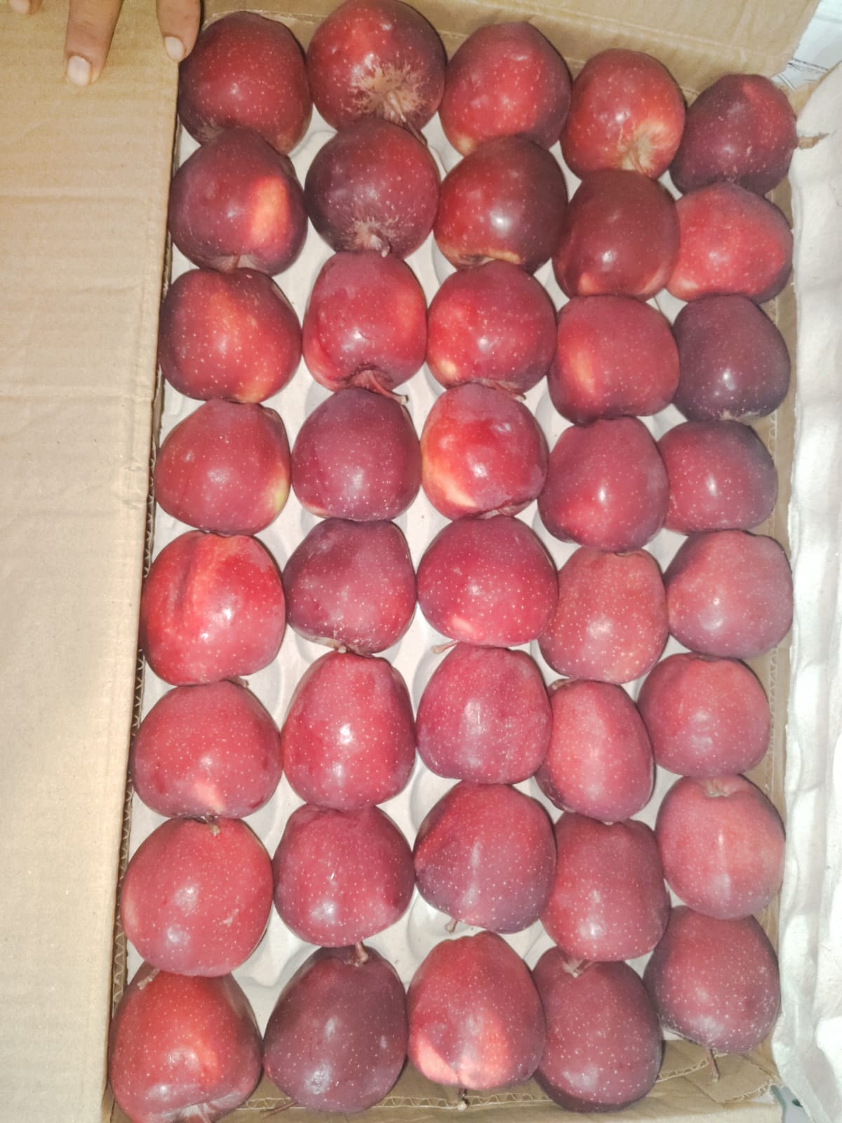 Apple Indian Kinnaur 120 Count 15 Kg Kinnaur Apples