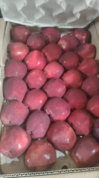 Apple Indian Kinnaur 50 Count 10 Kg Kinnaur Apples Apple Indian Kinnaur 50 Count 10 Kg Kinnaur Apples