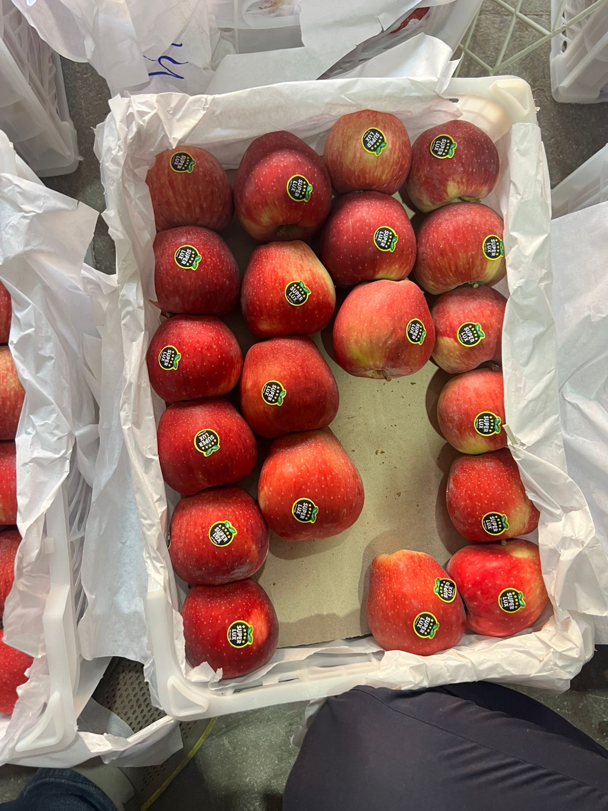 Apple Iran RD 10 Kg(Gross)