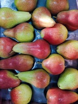 नाशपाती फोरेल 12.5 KG प्रीमियम 70 Pcs नाशपाती फोरेल 12.5 KG प्रीमियम 70 Pcs