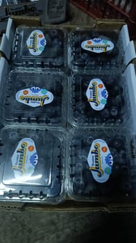 ब्लूबेरी चिली पैक ऑफ़ 125gm ज़ मिस ओ