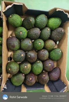 अवाकाडो तंज़ानिया रॉ 24 काउंट 4 KG